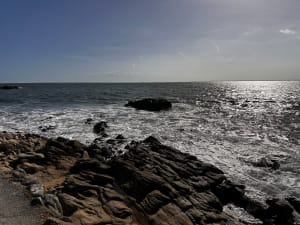 La Trinité sur mer et la pointe Ty Guard par le sentier cotier - Françoise - 6