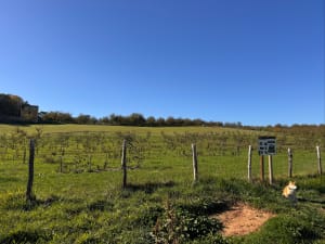 Saint-Cyprien et excursion temporelle dans le Périgord noir - Annemiek - 5