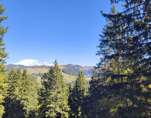 Lac du Mont lachat - MARTINE - 6