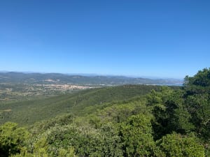 Balade en forêt à Cogolin et panorama sur les massifs locaux - l - 2