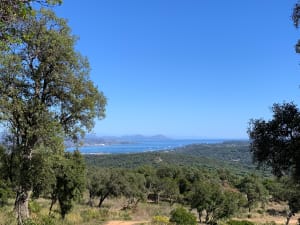 Balade en forêt à Cogolin et panorama sur les massifs locaux - l - 3