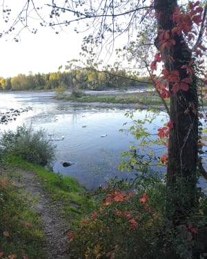 Randonnée dans la forêt et au bord de la rivière de Loyettes - Laurie - 3