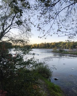 Randonnée dans la forêt et au bord de la rivière de Loyettes - Laurie - 2