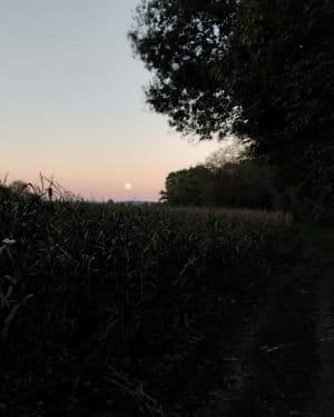 Randonnée dans la forêt et au bord de la rivière de Loyettes - Laurie - 4
