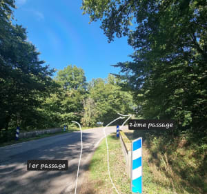 Rando le long des étangs et rigoles d'Yvelines - Les Bréviaires - 5