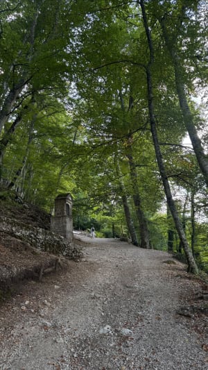 La grotte Sainte-Marie-Madeleine et la Sainte-Baume - Loane - 3