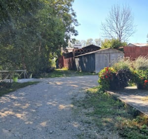 Randonnée entre vignes et forêt autour de Les Riceys - Les Riceys - 5