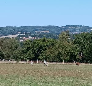 Chemins de La Chaize - Michele - 3