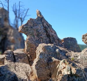 Calanque piana : route, chemin des muletiers - Piana - 5