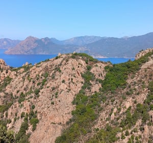 Calanque piana : route, chemin des muletiers - Piana - 4