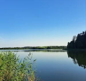 Rower wokół Dąbrówna - Jakub - 2