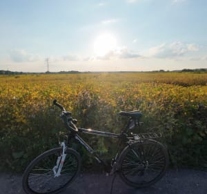 Knurów, pętla i Bojkow - Tomasz - 2