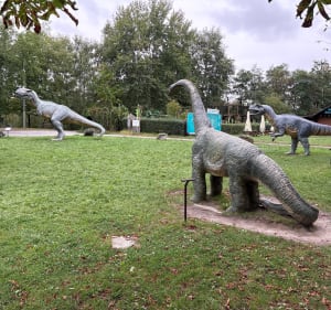 Rowerek Rekreacyjnie - Decathlon - 3