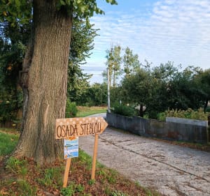 Osada Steblów - krótki spacer ulicami Steblowa - Steblów - 4