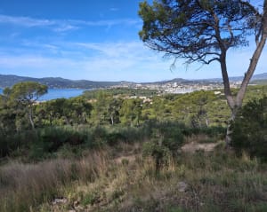 Saint-Mandrier et promenade sur les pas du poète Jean Aicard - Céline - 5