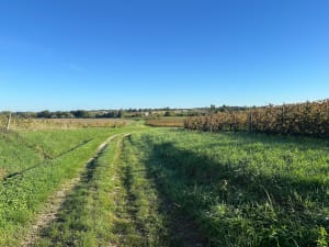 Boucle de Blaye et ses belles vues sur l'Estuaire - Francois - 3