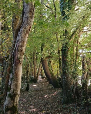 L’angle sur Anglin - Angles-sur-l'Anglin - 9