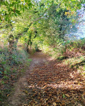 Petite boucle à Tréouergat, en campagne,  boisée. - Blandine - 2