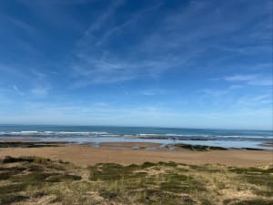 OT Brem: entre marais, forêt d'Olonne, et dunes - Virginie - 6