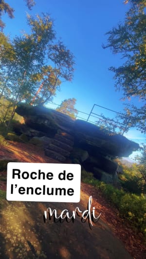 Anozel-rots rond Saint-Dié-des-Vosges - Isabelle - 2
