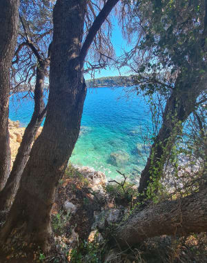Van Nice naar Villefranche via het kustpad - Odile - 3