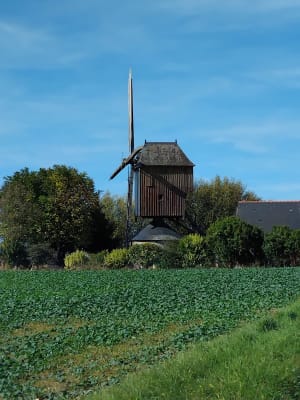 Parcours champêtre entre les bords de Loire et l'Aubance - Nicole - 3