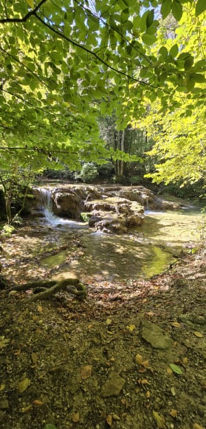 Promenade à la cascade des Tufs et petite source de la Cuisance - Les Planches-prés-Arbois - 14