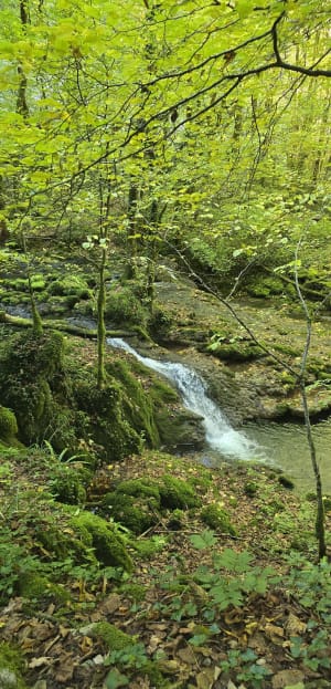 Promenade à la cascade des Tufs et petite source de la Cuisance - Les Planches-prés-Arbois - 16