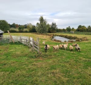 Randonnée de Boutigny-Prouais - Boutigny-Prouais - 2