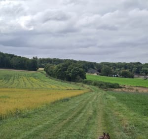 Randonnée de Boutigny-Prouais - Boutigny-Prouais - 3