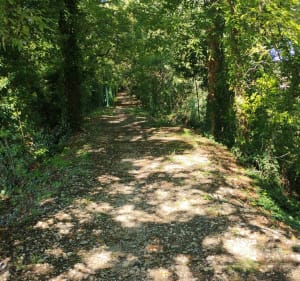 Saint Maurice sur Eygues - Saint-Maurice-sur-Eygues - 2