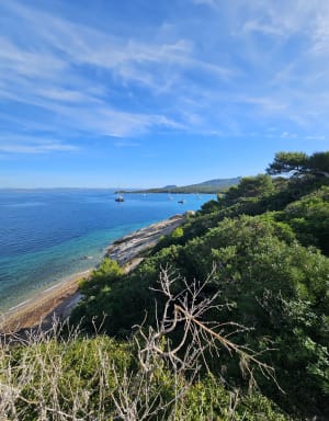 L'île de Porquerolles et évasion au cœur d'un décor maritime - Benjamin - 4