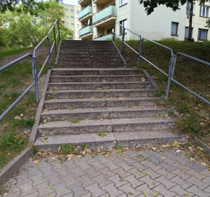 Spacerze psem dookoła osiedla Wajdy - Adam - 2