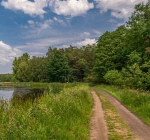 Gichta - pętla - Alicja - 2