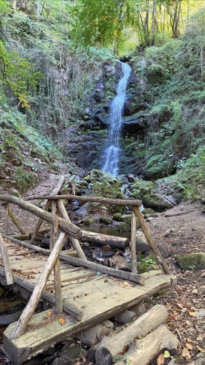 Promenade à la Cascade de la Piche - Dylan - 3