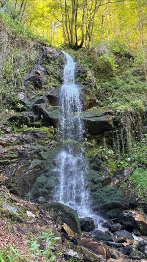 Promenade à la Cascade de la Piche - Dylan - 5
