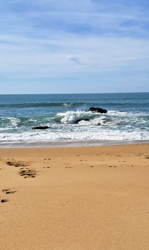 Foret d’Olonne et bord de mer - Christine - 2