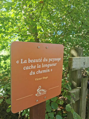 Balade dans le bois de Sauvagnon - Claude - 2