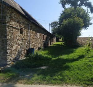 Circuit des Chataigners à Saint-Jean-sur-Vilaine par la Bâte - Romuald - 3