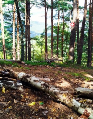 Sortie trail - Gilles - 2