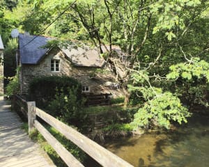Pont-Aven, bois d'amour et chapelle de Tremalo - GUY - 4