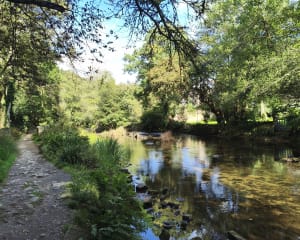 Pont-Aven, bois d'amour et chapelle de Tremalo - GUY - 7