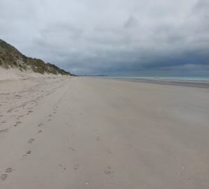 Sortie dans les dunes et plage de Zuydcoote à Leffrinckoucke - jean-louis - 7