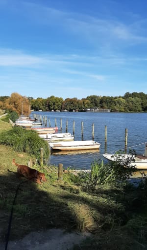 Les 3 rivières ( Cens, Erdre et Gesvres) - Agnes - 3