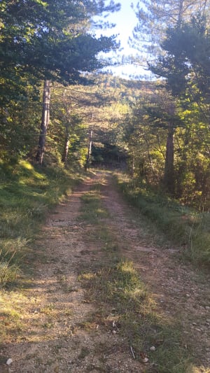 Randonnée au col de la Moutoune - stephanie - 5