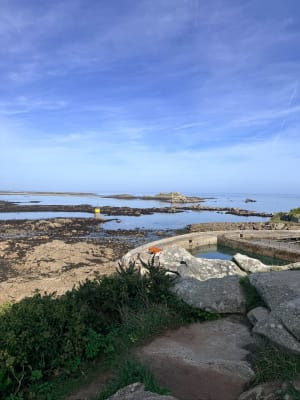 Autour de Roscoff par la mer à l'est, par la mer à l'ouest. - Marion - 5
