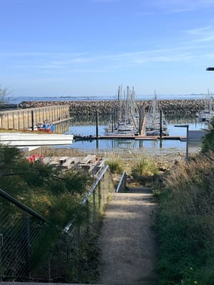 Autour de Roscoff par la mer à l'est, par la mer à l'ouest. - Marion - 7