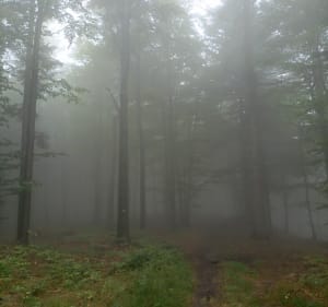 Beskid Mały - Hrobacza łąka - Bartosz - 2