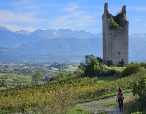 Mont Ronjou et vignobles savoyards - Saint-Jeoire-Prieuré - 5