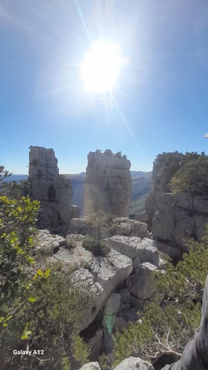 Les Cadières de Brandis - charlotte - 10